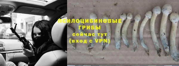 стафф Ахтубинск