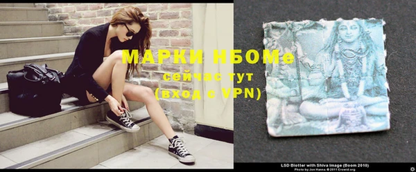 стафф Ахтубинск