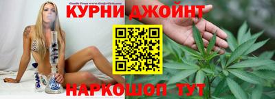 трава Гатчина