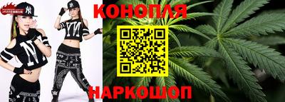 стаф Волгодонск