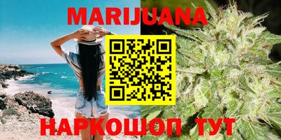 трава Гатчина