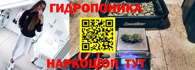 прущие грибы Гай
