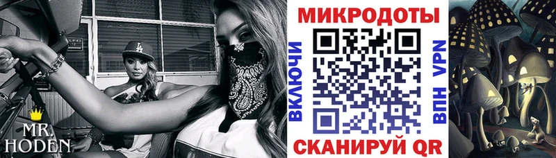 Галлюциногенные грибы прущие грибы  как найти закладки  Избербаш 