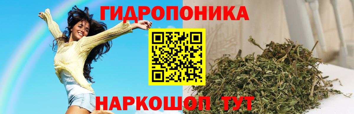 Канабис индика Избербаш